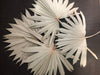 Large Natural Sun Palms// (5 stem Bundle)) // Naturally Grown and Preserved // Wedding Flowers // Dried Palms Assorted Sun Palms - CaliforniaFlowerGrowers.com